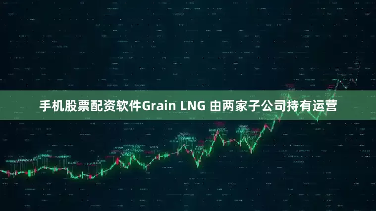 手机股票配资软件Grain LNG 由两家子公司持有运营